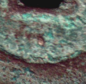 200451619372140.jpg