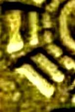 2004524133717878.jpg