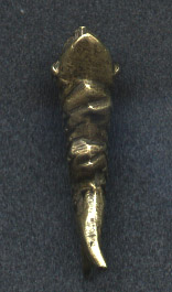 200461194214246.jpg