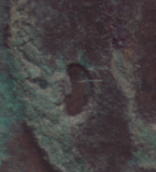 2004830202439729.jpg