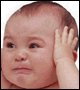 20048320460251.gif