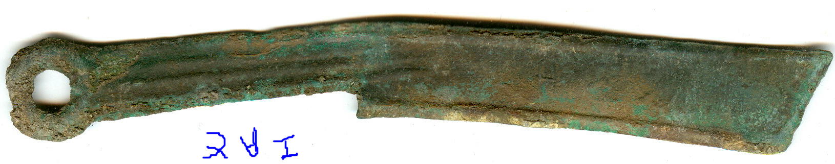 200539164114259.jpg