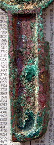 2005581839314031.jpg