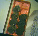 2006122419552870722.jpg