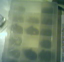 200612241956344212.jpg