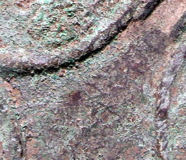 20062132221167408.jpg