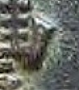 200632712491880233.jpg