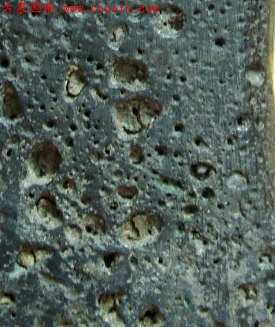 20065120254160385.jpg