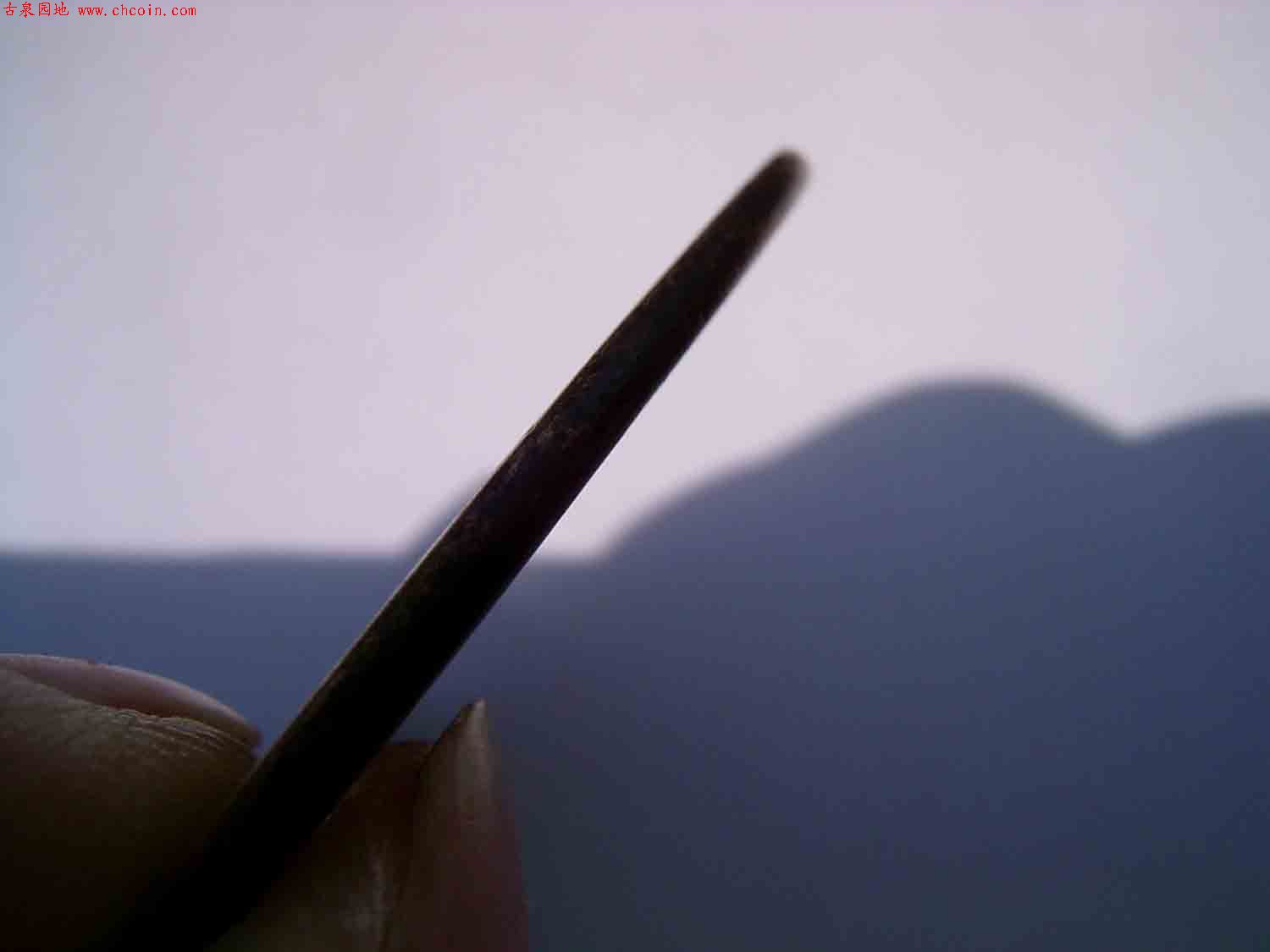 200651415343530535.jpg