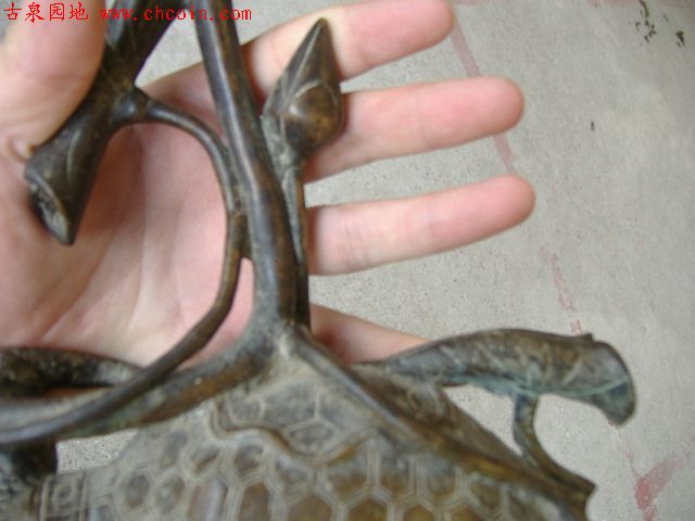 200681114105511628.jpg