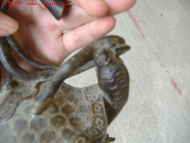 200681114114194421.jpg