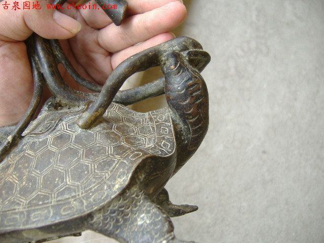200681114115165395.jpg