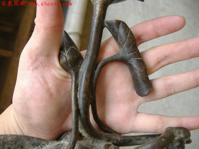 20068111412249382.jpg