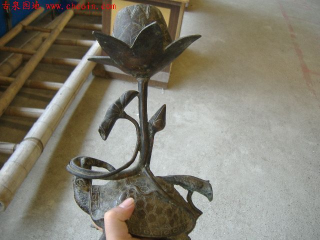 20068111414685809.jpg