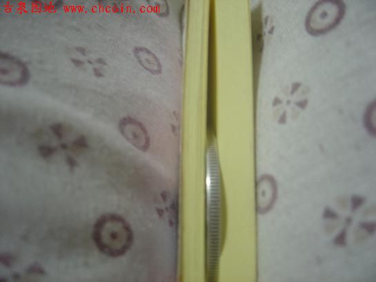 2006862046161257.jpg