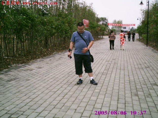 2006912228848333.jpg