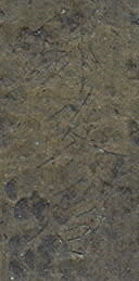 2006925983529043.jpg