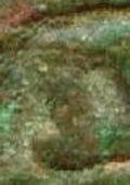 20071172015091953.jpg