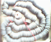 20073414584264526.bmp