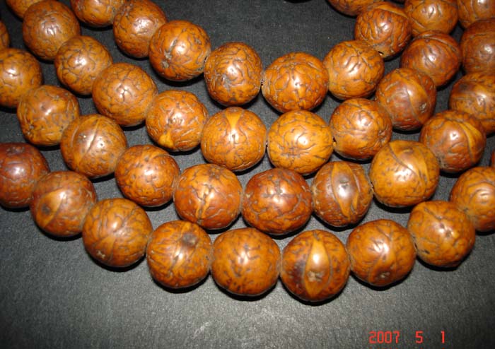 20075119405934105.jpg