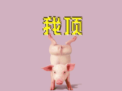 20075281464735901.gif