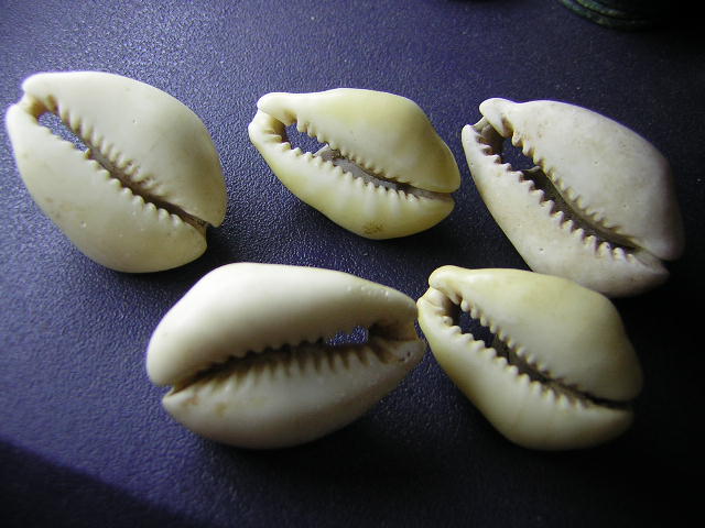 200761814574061356.jpg