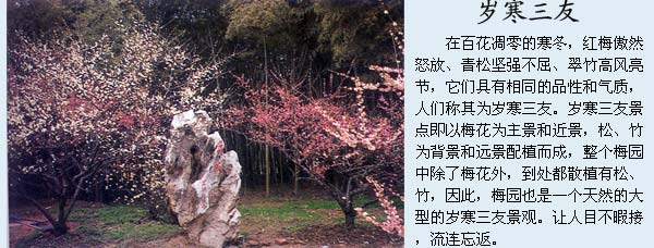 200773110413499946.jpg