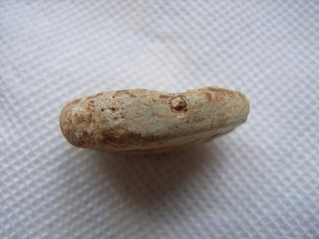 20077411194975145.jpg
