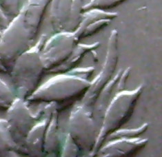 200792720461654965.jpg