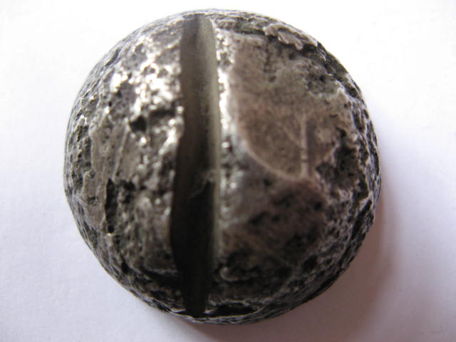 200821421551945951.jpg