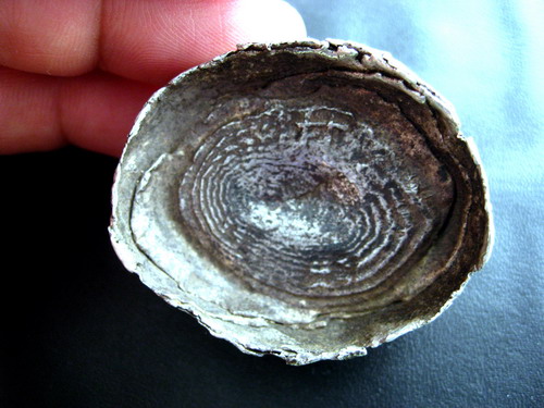 200821512522258435.jpg