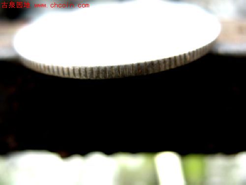 20088211792797300.jpg