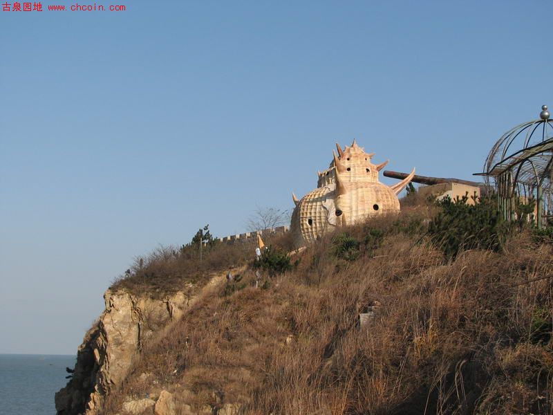 2008829004479515.jpg