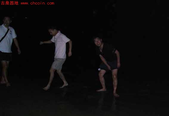 200891912325954223.jpg