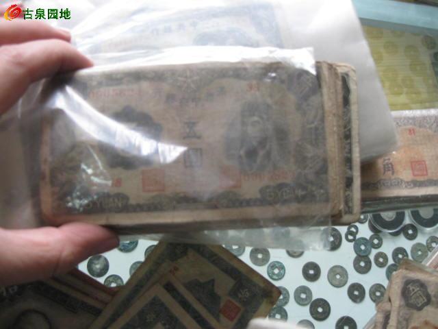 572_18206_0220f50f6cd71be.jpg