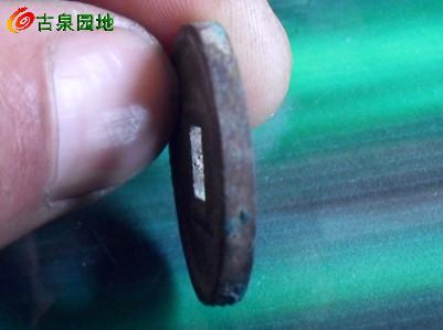 21_71891_1145f20eb74ff81.jpg