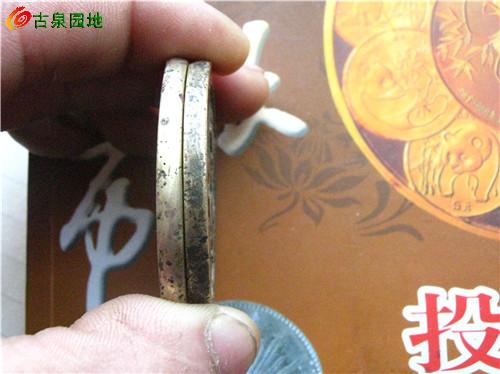 599_53421_31a5407cc4ac380.jpg