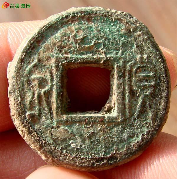 21_8781_800bc8f3d7bc8db.jpg