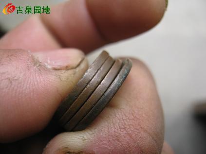 3_34978_9ef6b1cc7cf8d9e.jpg