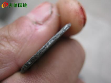 3_34978_843d2fda80024b2.jpg