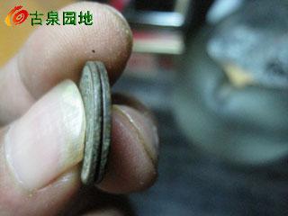 601_57367_99d5eee1d1aac5e.jpg