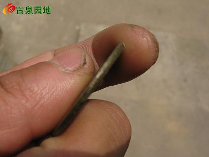 3_34978_59e25fc730fbfe2.jpg