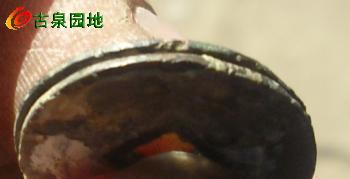 25_83060_8223d0b9af8ac88.jpg