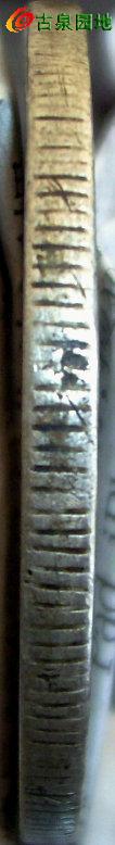 398_55283_12961abe56ab80b.jpg