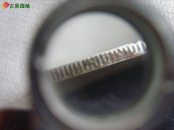 41_56617_bf8c7d0cbe1daac.jpg
