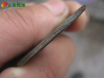 3_34978_8fb6cbe35021816.jpg