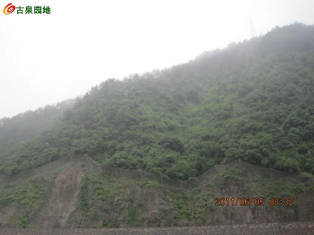 3_69975_62efcc03c744df2.jpg