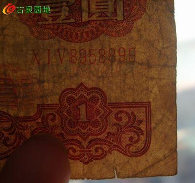 572_56617_9f2804dfe5087ec.jpg