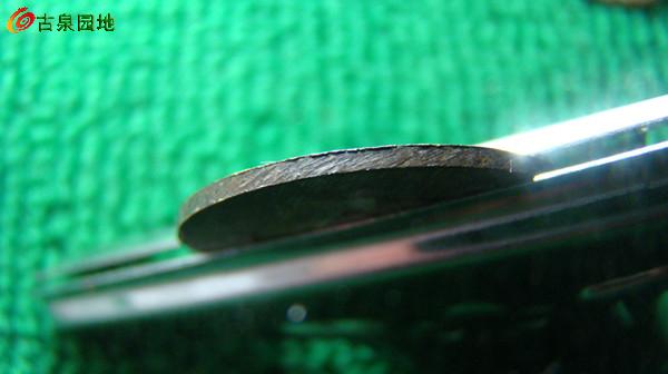 3_84019_1532a4c1f43aae6.jpg