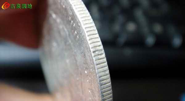 398_68832_48b9ea47f5acadd.jpg